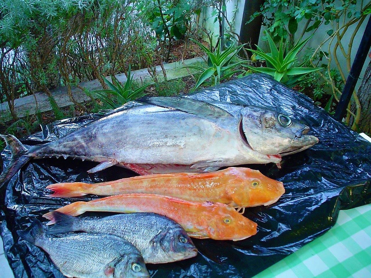 House Rak, Apartments Lac - Vis